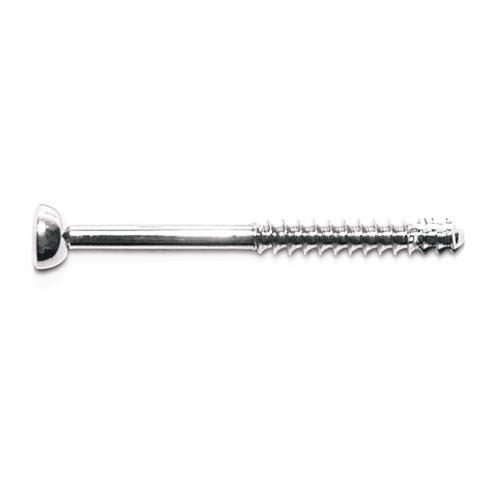 Bone Screws (4.5 mm MALLEOLAR SCREWS)